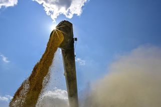 Ceny potravin poletí kvůli suchu nahoru. Ekonomové odhadli, co zdraží nejvíce